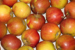 Delicious healthy fresh apples to be put into a bag for delivery