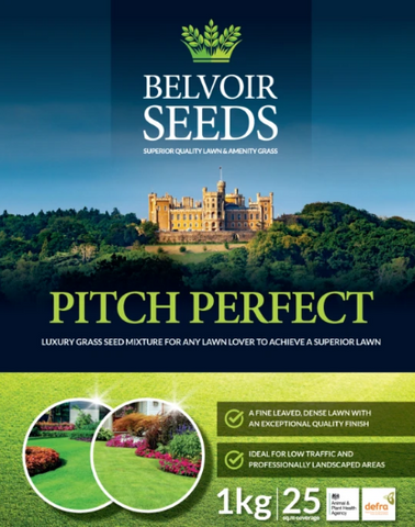 Pitch Perfect Grass Seed (1kg)